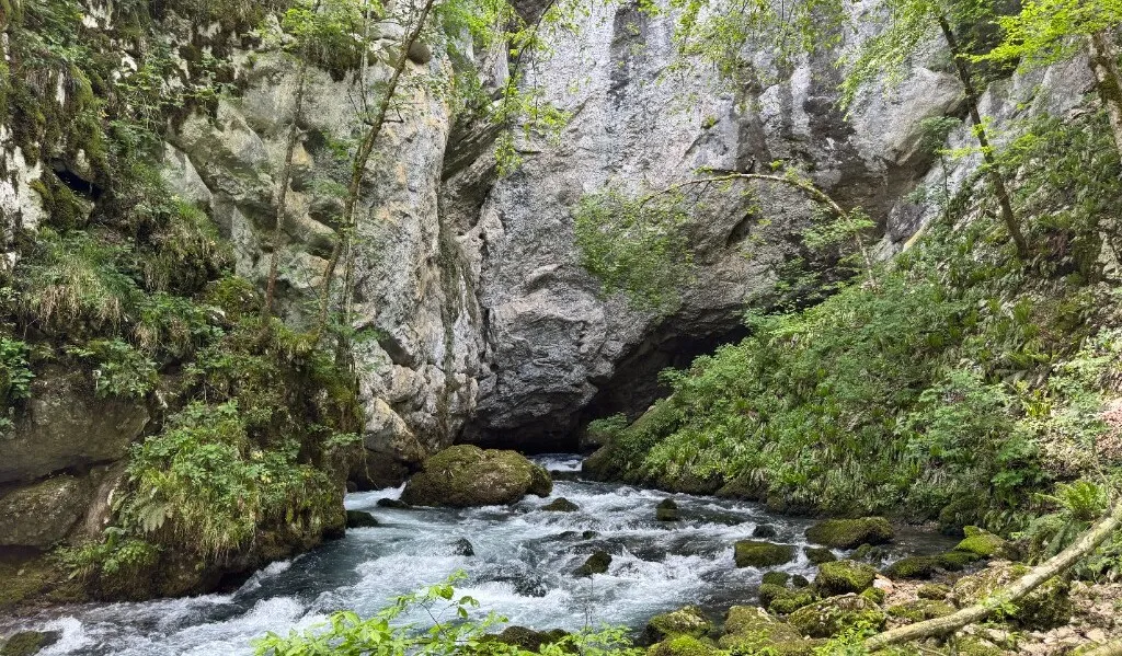 Spring rushing from a limestone cliff over mossy rocks in a green gorge